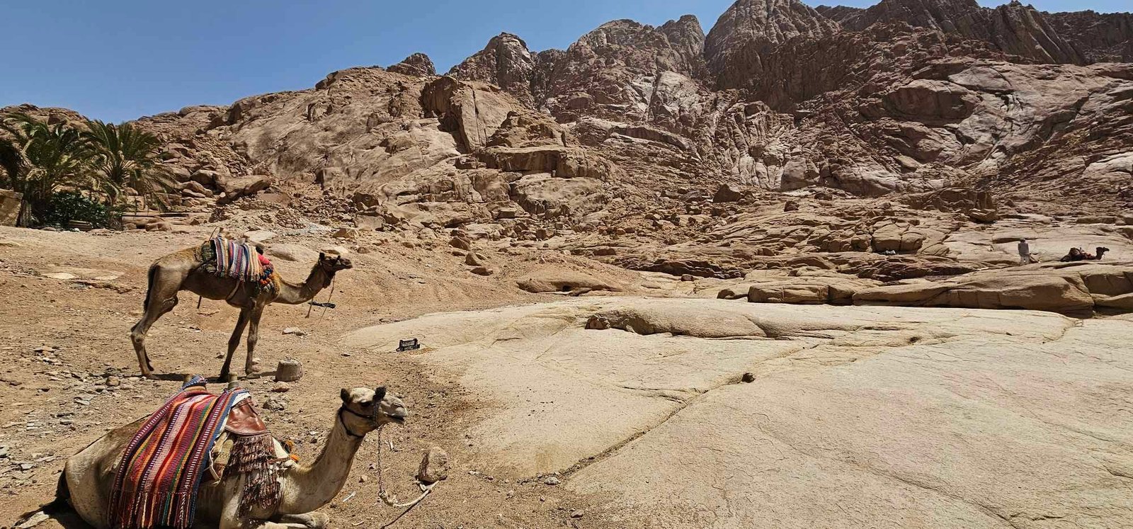 Mount Sinai, also known as the Mountain of Moses, with travelers hiking at sunrise to the summit where Moses received the Ten Commandments, surrounded by dramatic desert landscapes. For reservations: +201204128282