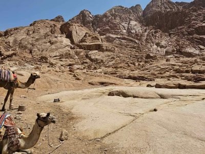 Mount Sinai, also known as the Mountain of Moses, with travelers hiking at sunrise to the summit where Moses received the Ten Commandments, surrounded by dramatic desert landscapes. For reservations: +201204128282