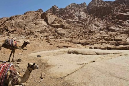 Mount Sinai, also known as the Mountain of Moses, with travelers hiking at sunrise to the summit where Moses received the Ten Commandments, surrounded by dramatic desert landscapes. For reservations: +201204128282